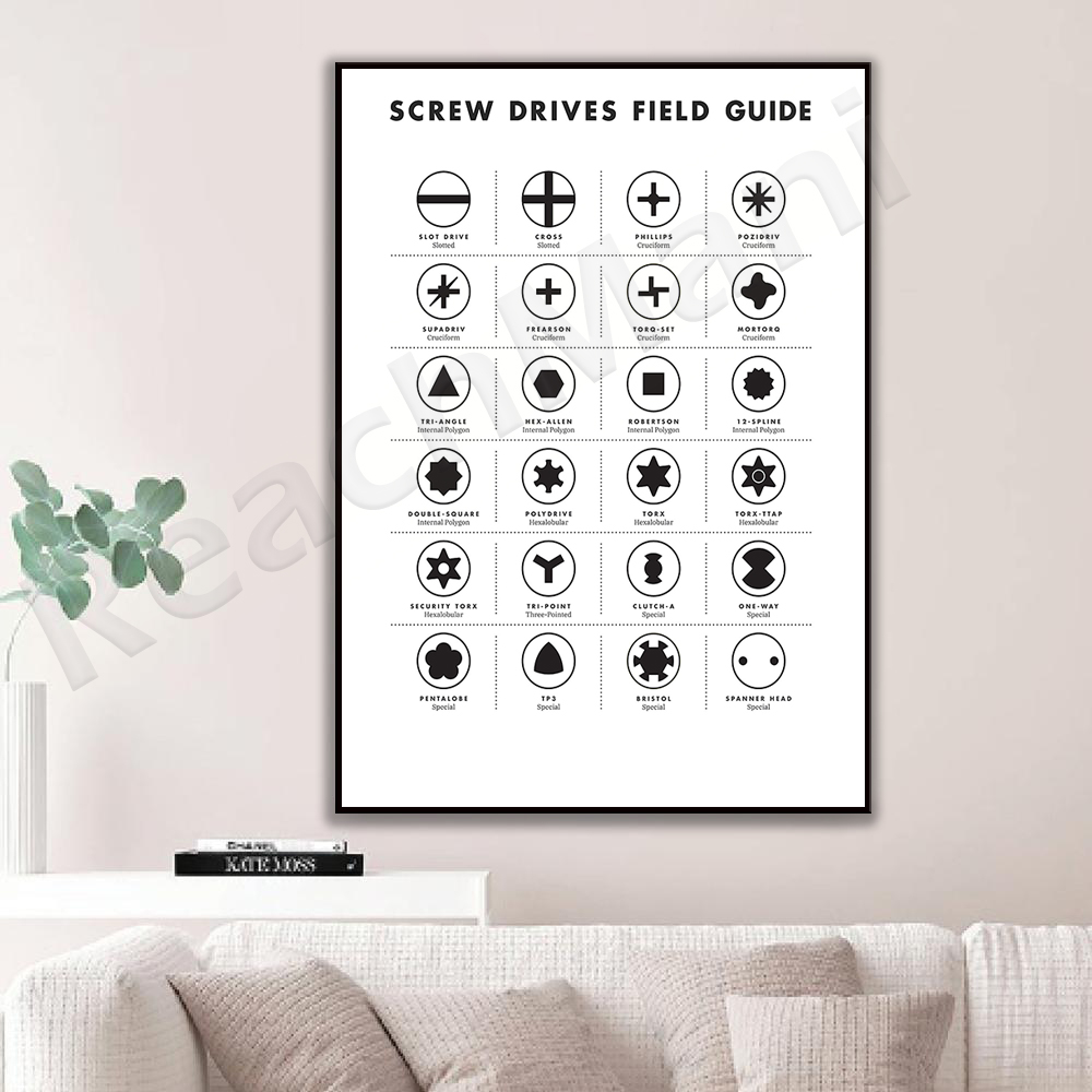 Screw drive site guide wall ar - Workshop Tools Types recension och pris