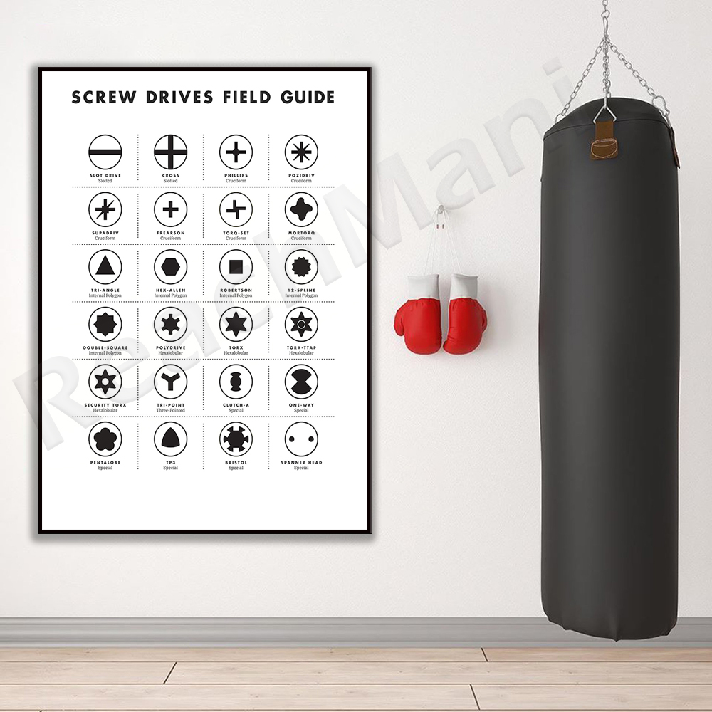 Screw drive site guide wall ar - Workshop Tools Types recension och pris